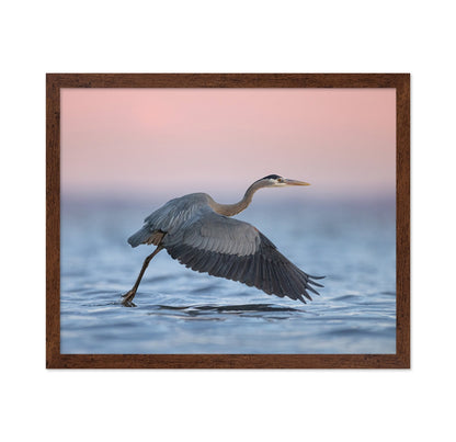 Heron Takeoff No2