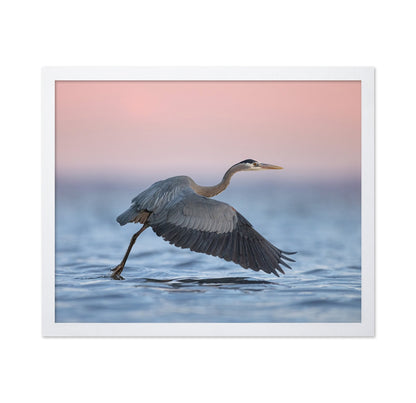 Heron Takeoff No2
