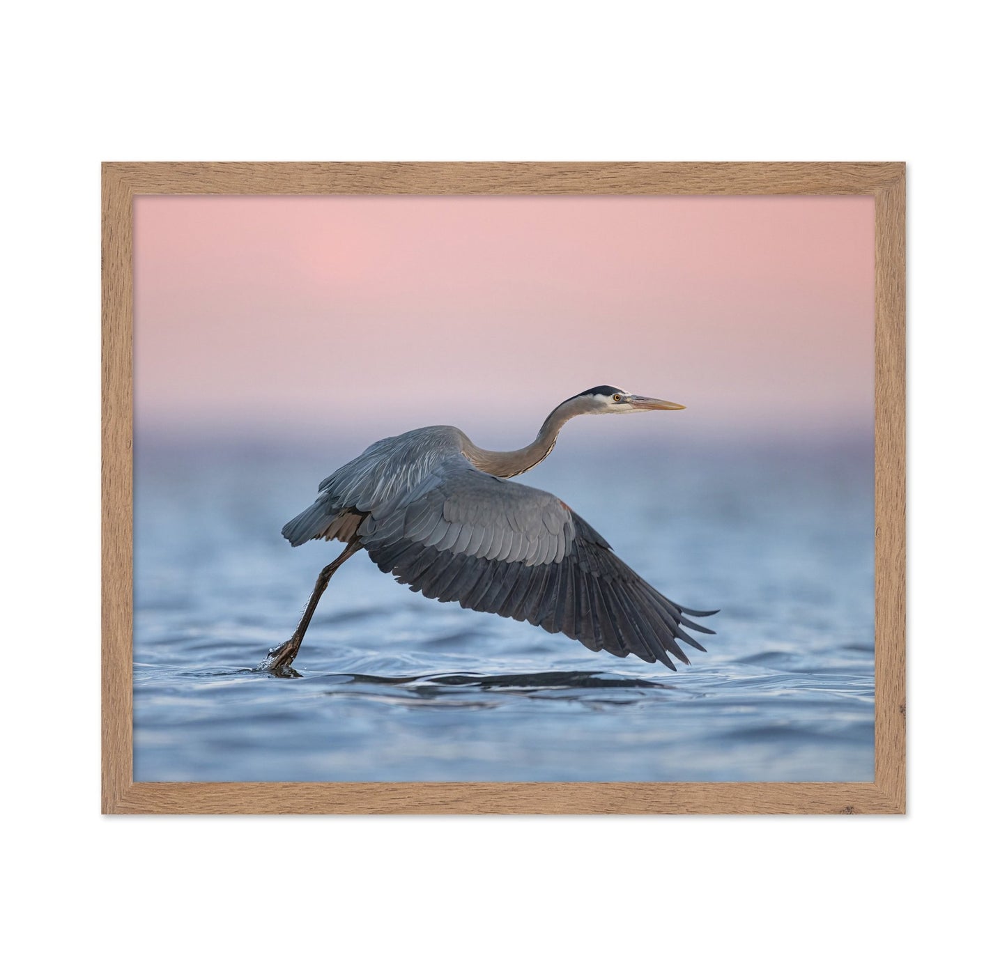 Heron Takeoff No2