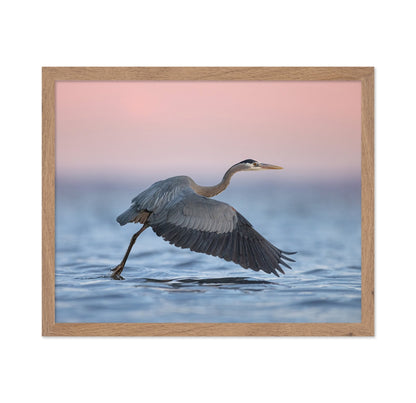 Heron Takeoff No2