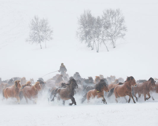 Winter Horse Run