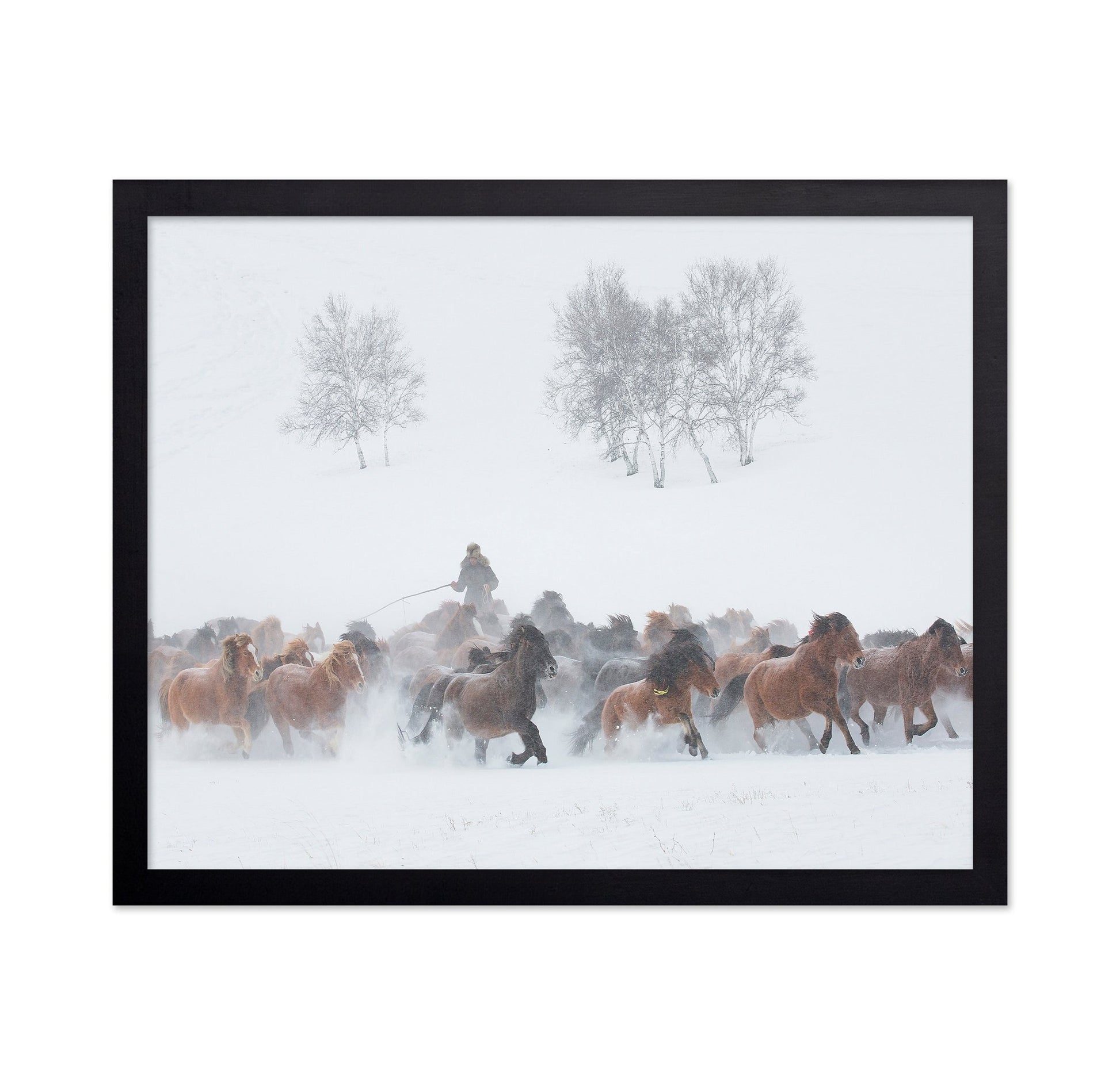 Winter Horse Run