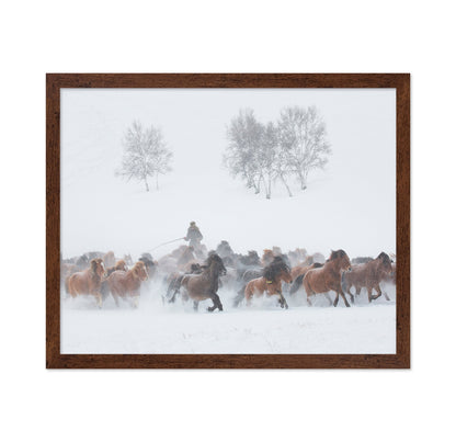 Winter Horse Run
