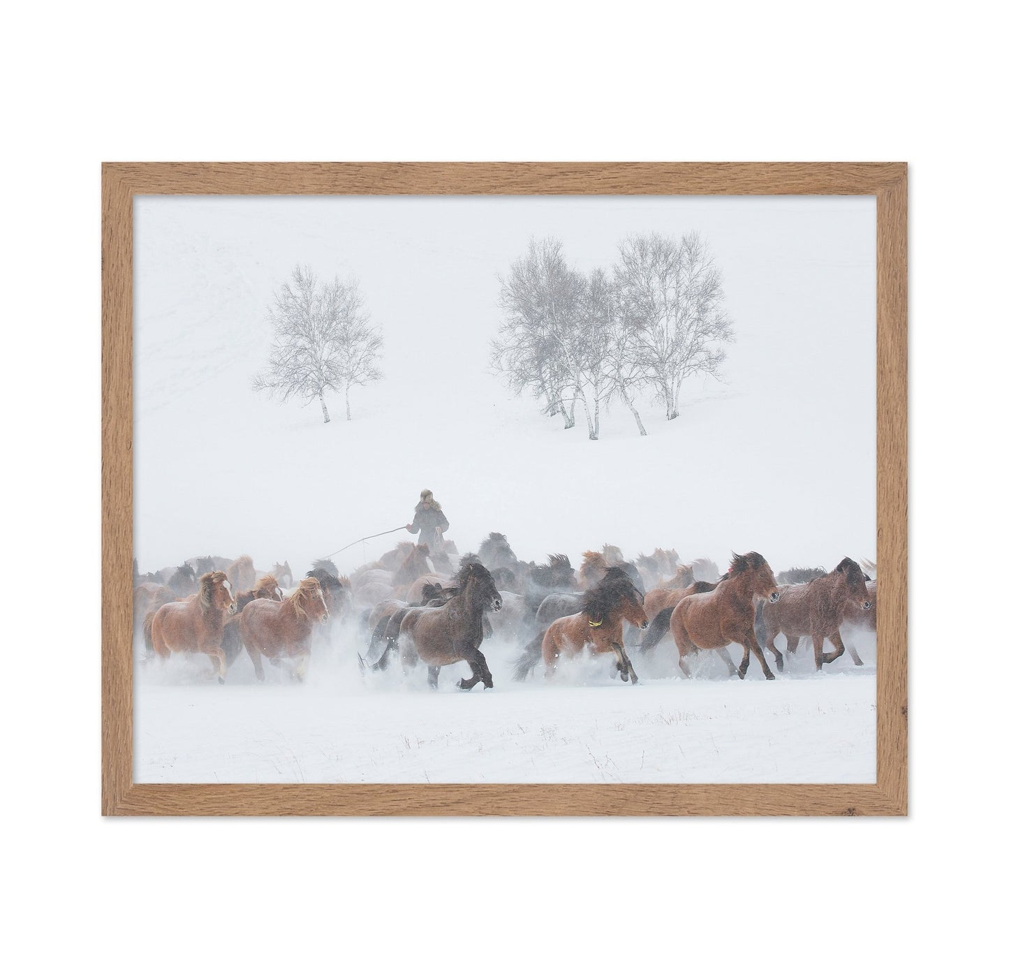 Winter Horse Run