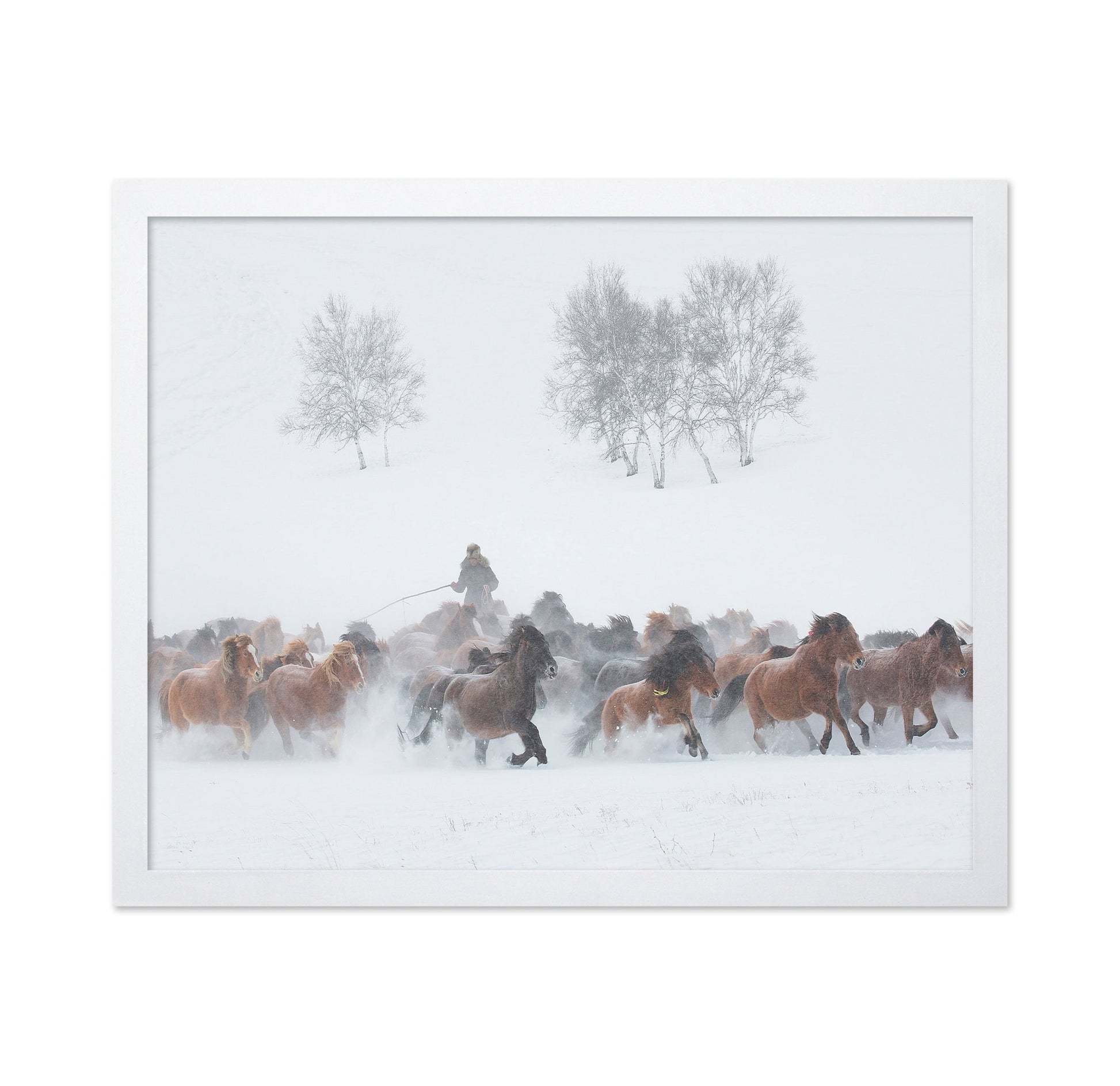 Winter Horse Run
