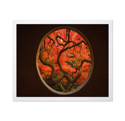 Autumn Window Tree