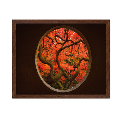 Autumn Window Tree