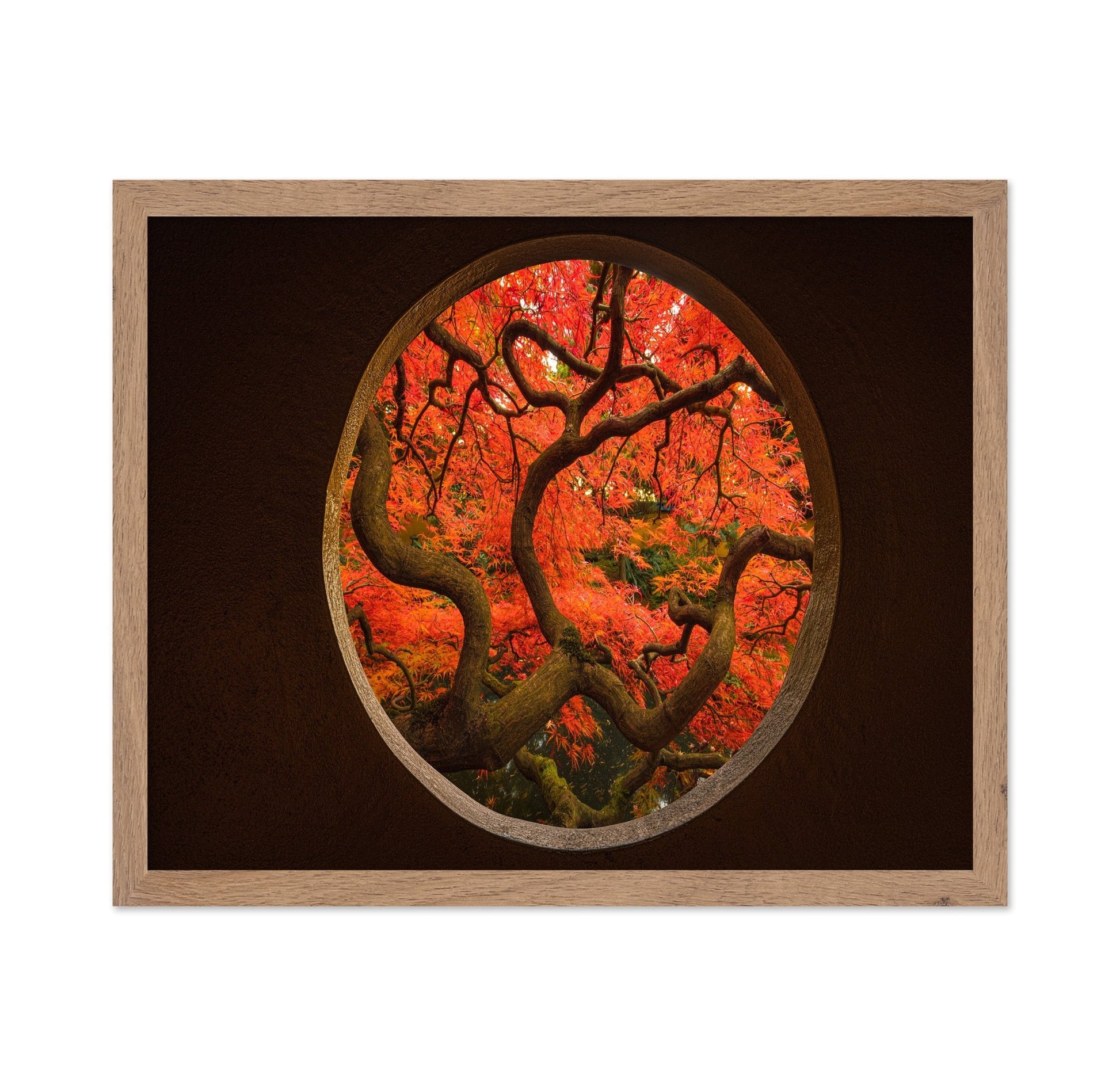 Autumn Window Tree