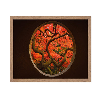 Autumn Window Tree