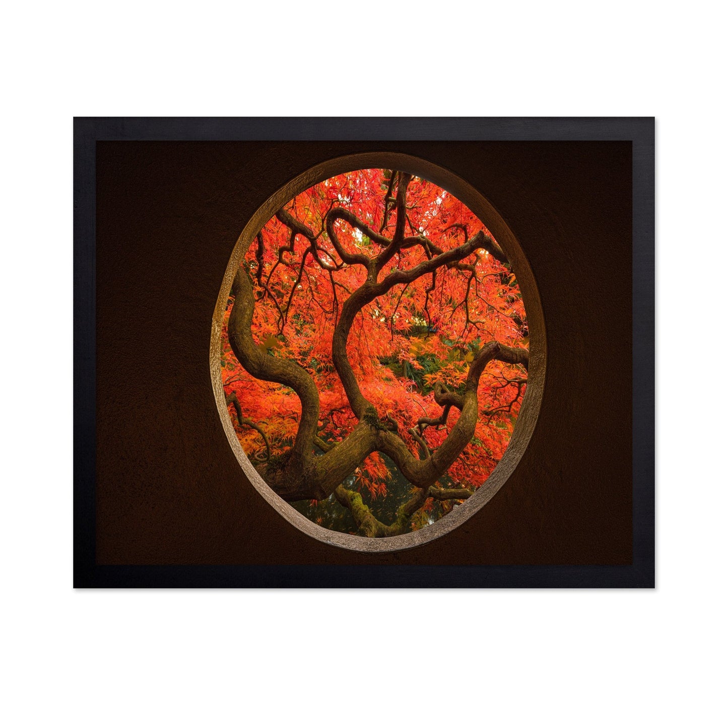 Autumn Window Tree