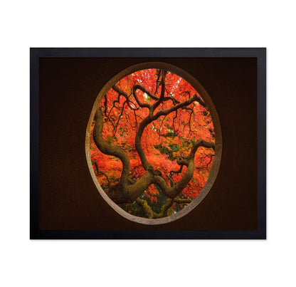 Autumn Window Tree