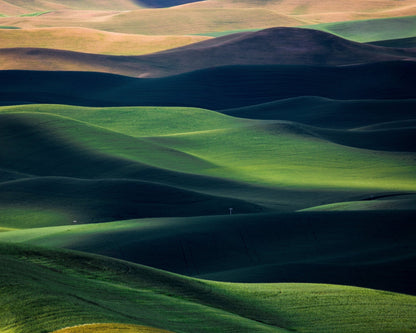 Rolling Green Hills No3