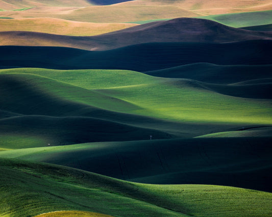 Rolling Green Hills No3