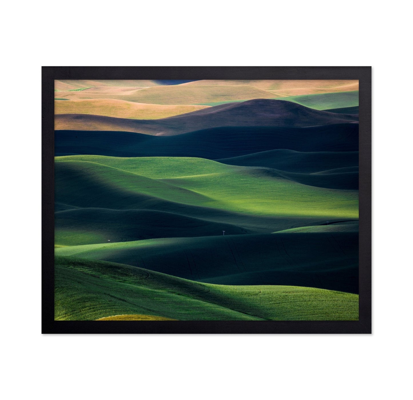 Rolling Green Hills No3