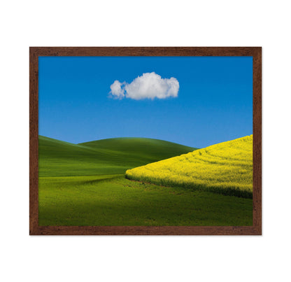 Golden Field Blue Sky