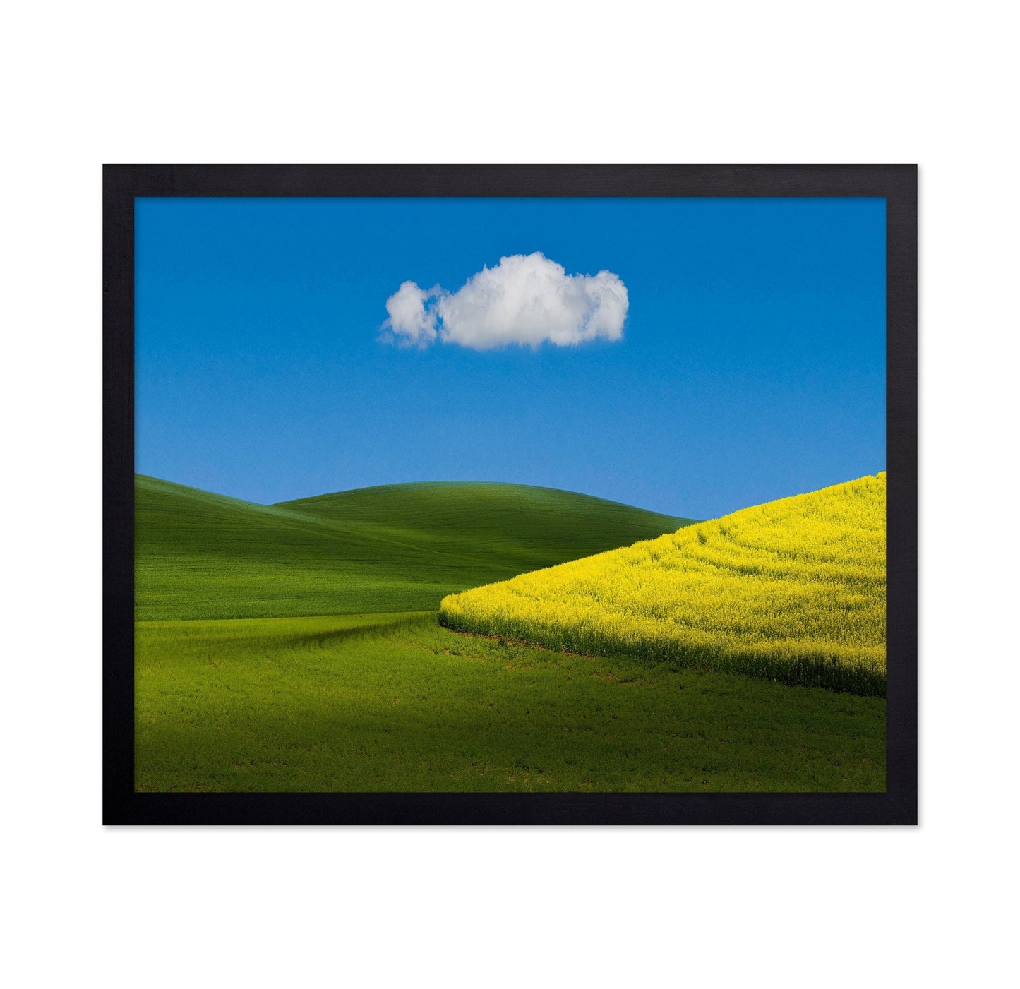 Golden Field Blue Sky