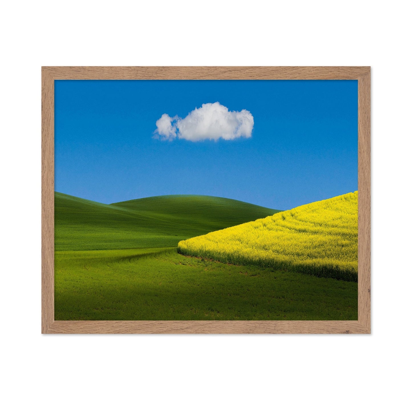 Golden Field Blue Sky