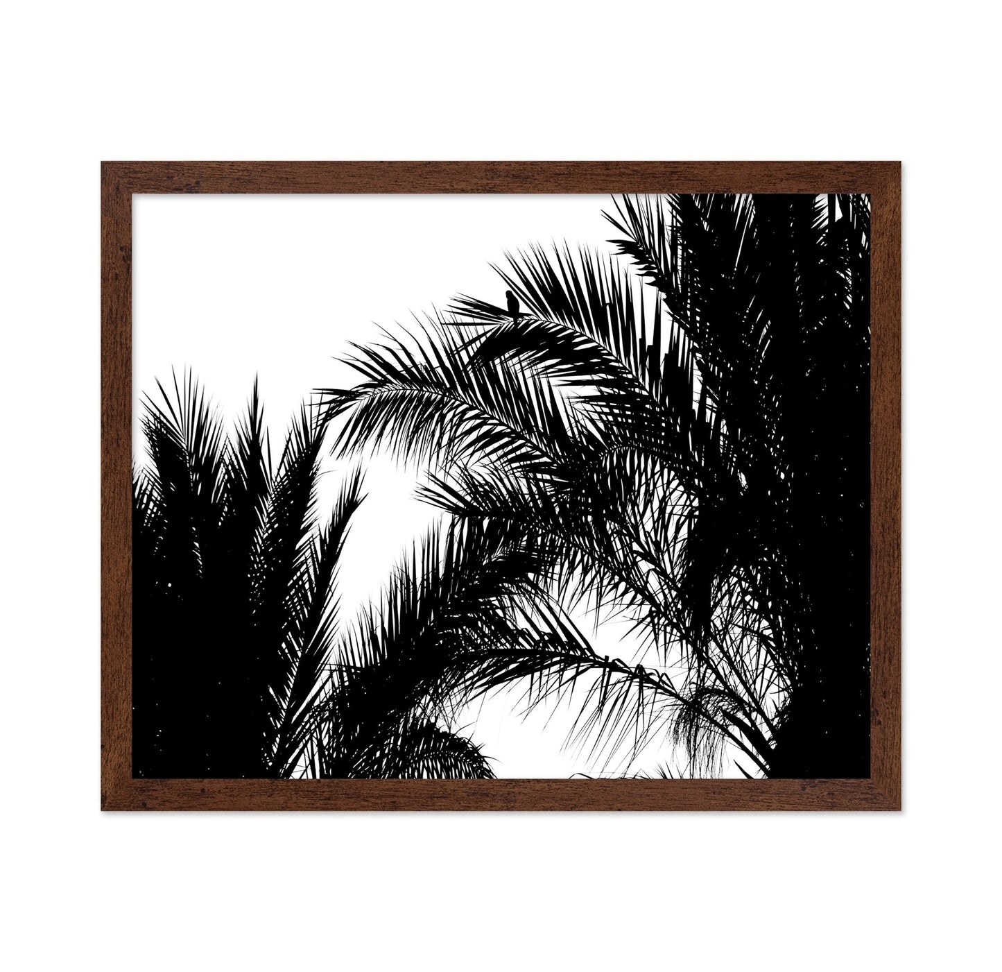 Palm Leaf Silhouette