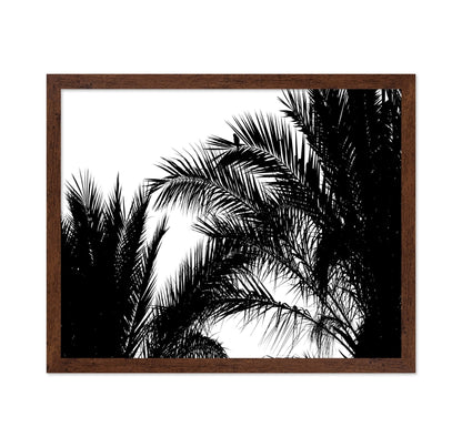 Palm Leaf Silhouette