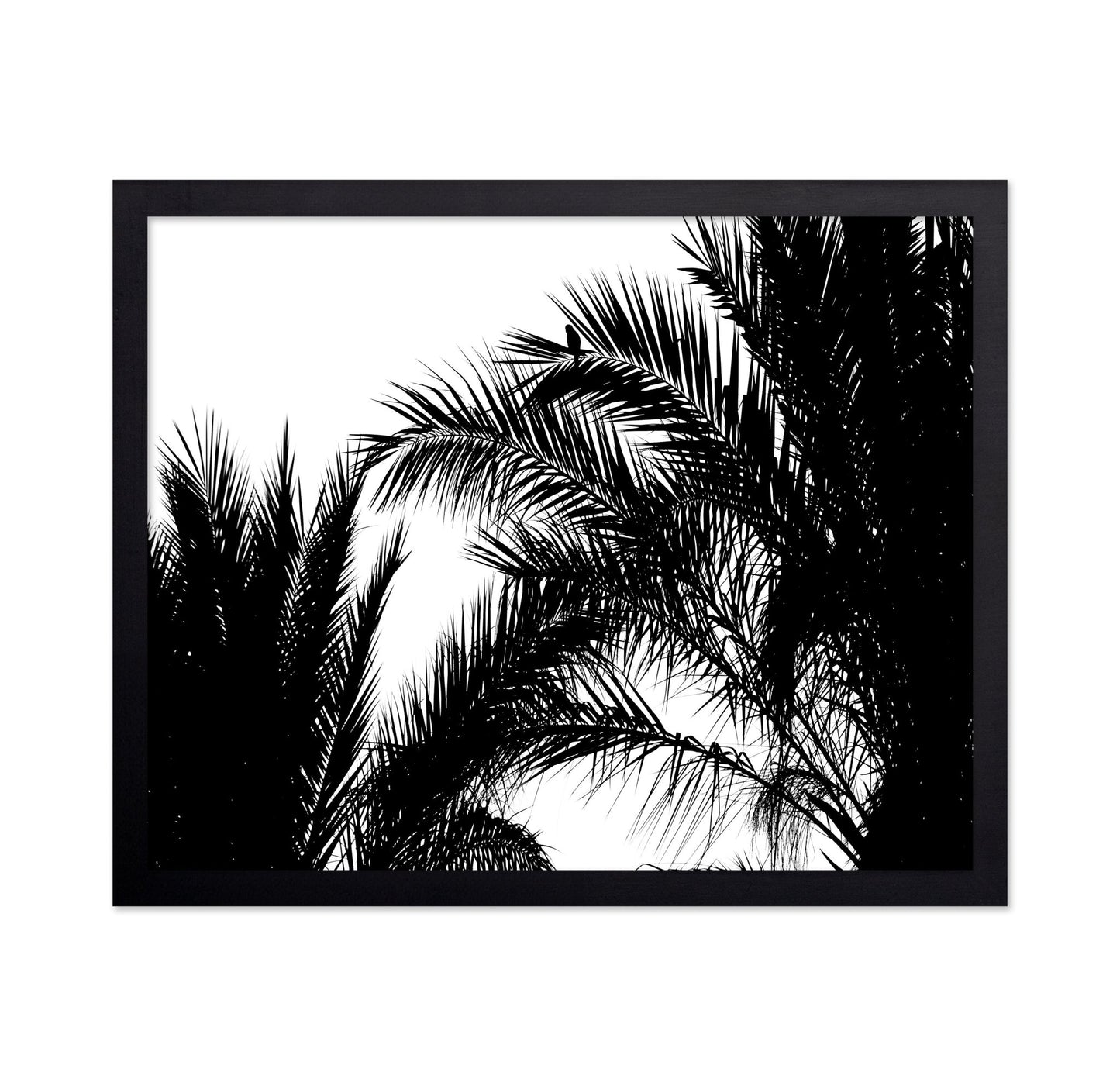Palm Leaf Silhouette