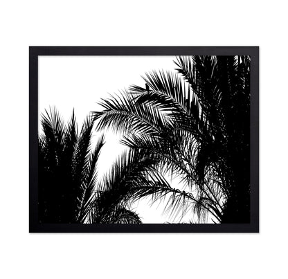 Palm Leaf Silhouette