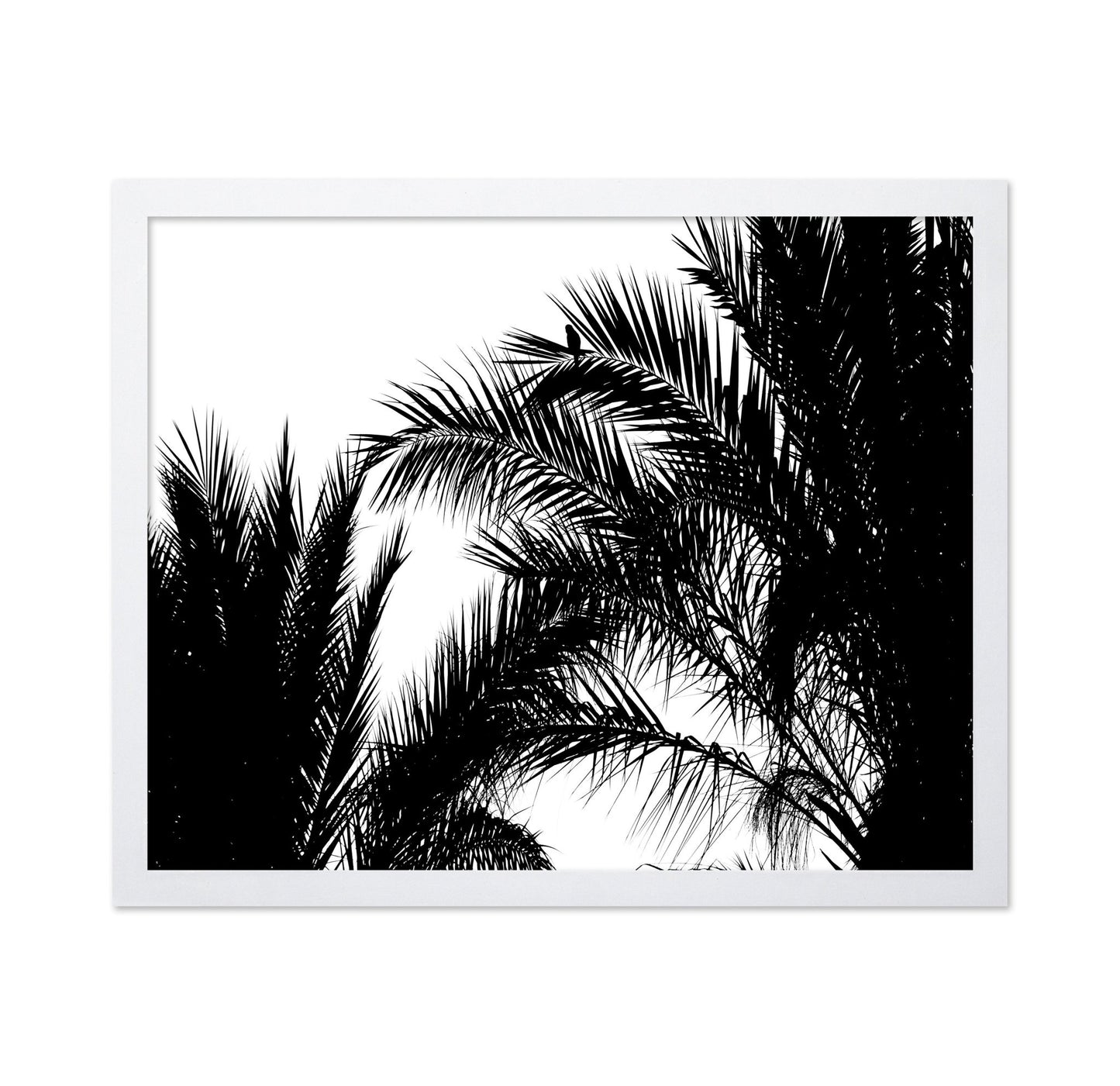 Palm Leaf Silhouette