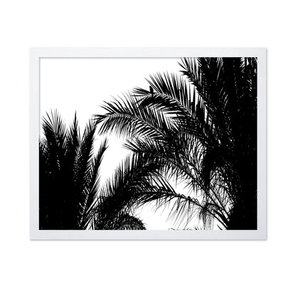 Palm Leaf Silhouette