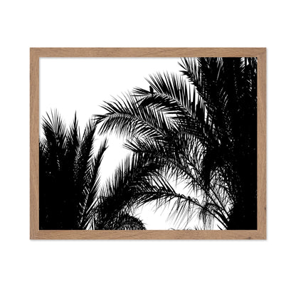 Palm Leaf Silhouette