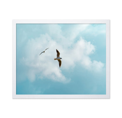 Seagulls In Open Sky