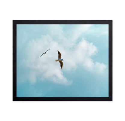 Seagulls In Open Sky