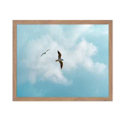 Seagulls In Open Sky
