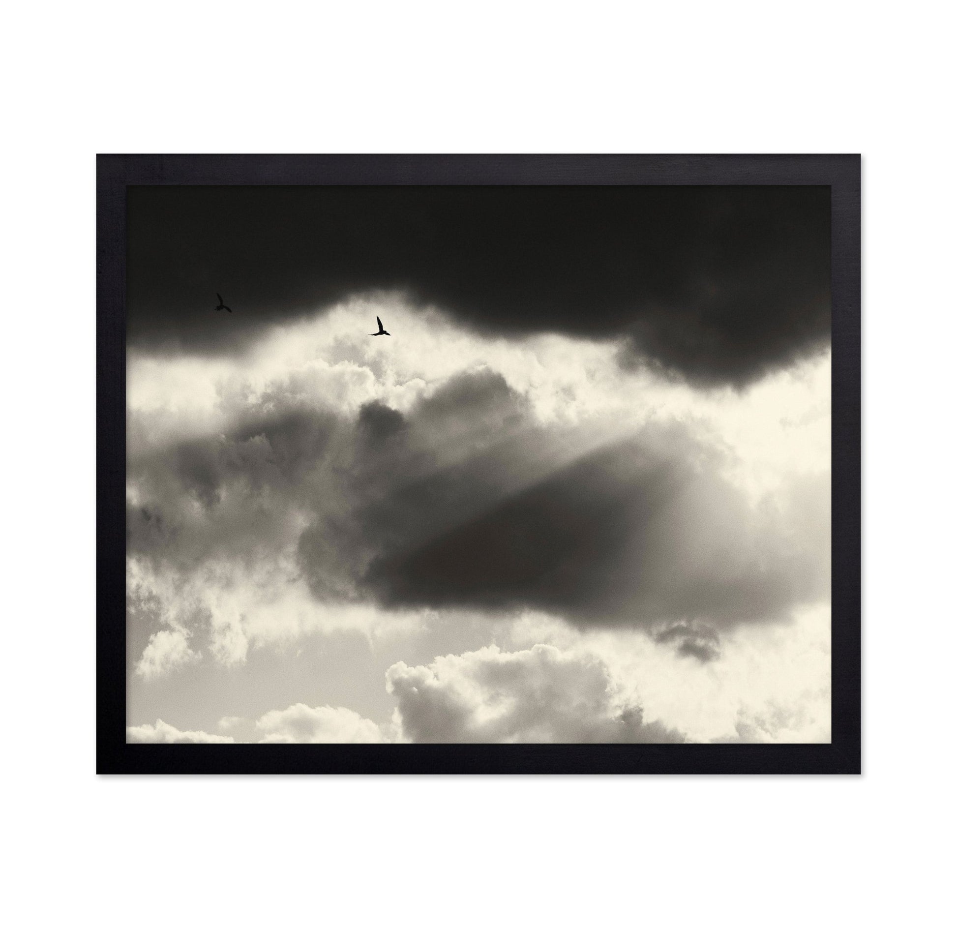Birds Above Dark Clouds