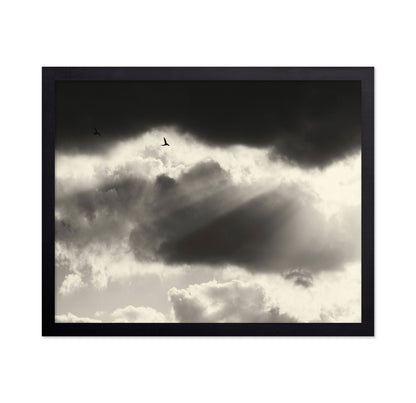 Birds Above Dark Clouds