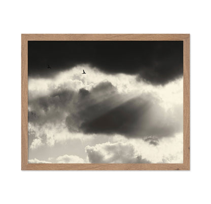 Birds Above Dark Clouds