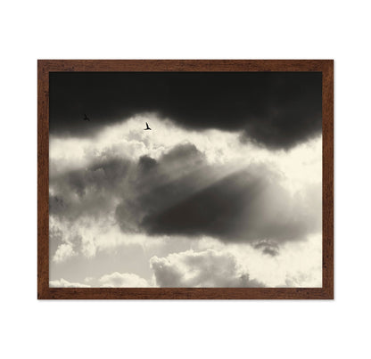 Birds Above Dark Clouds