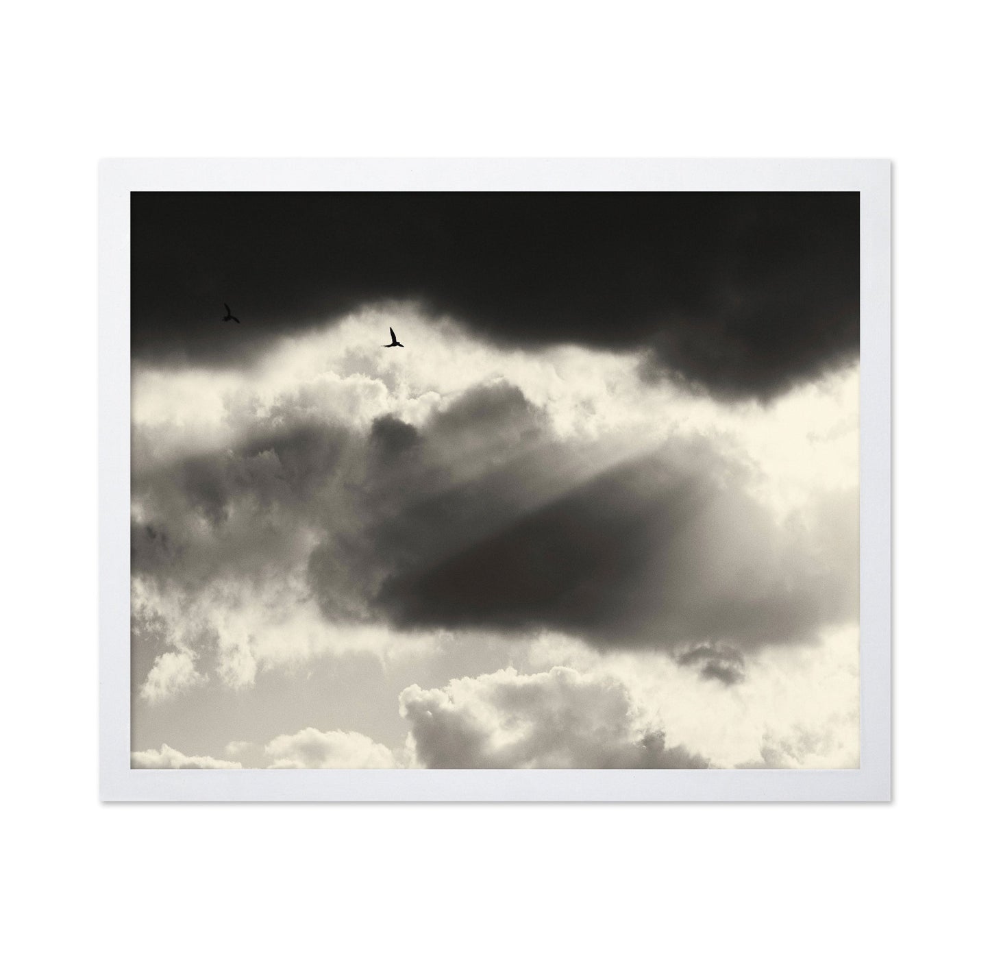 Birds Above Dark Clouds