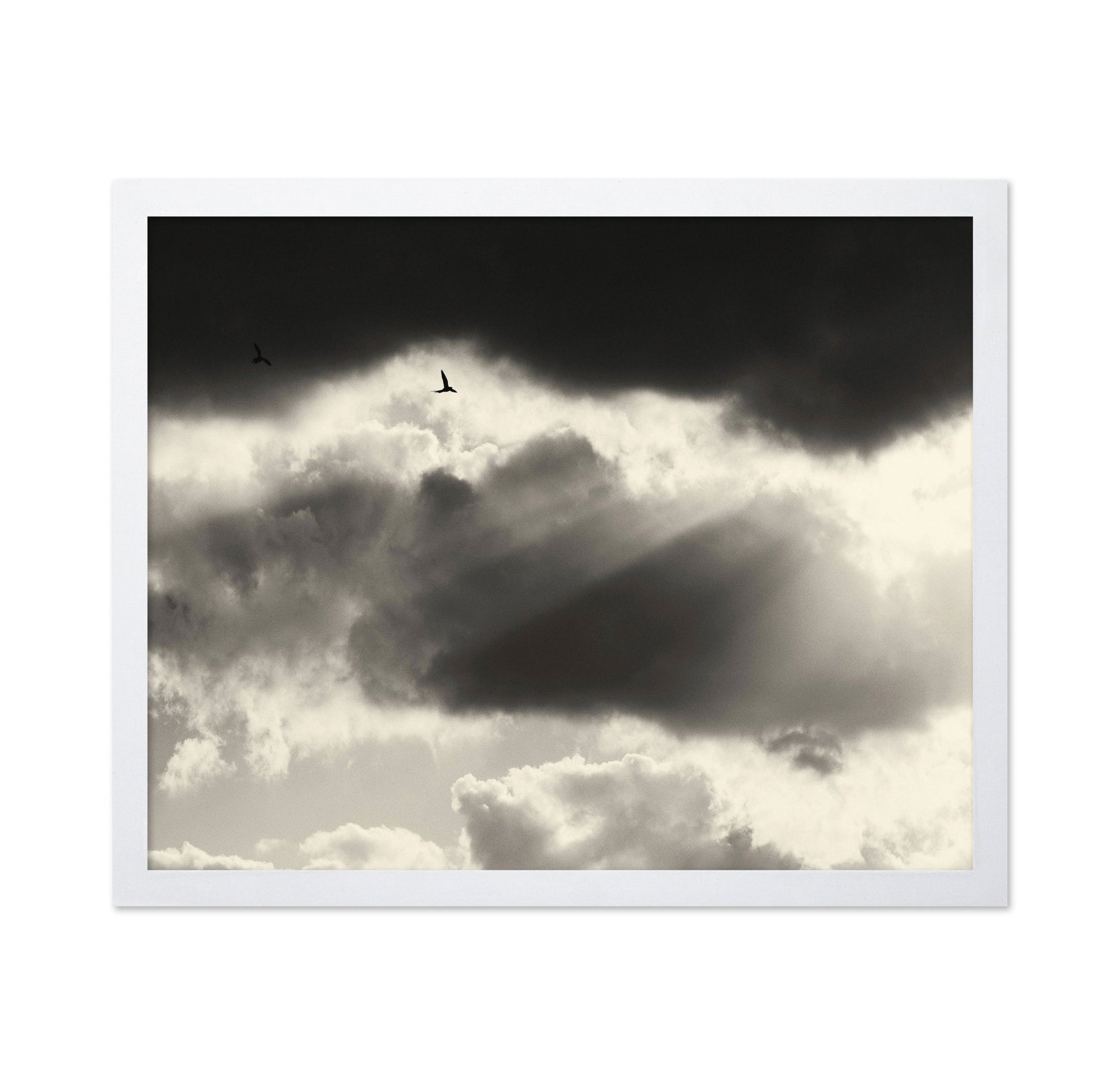 Birds Above Dark Clouds