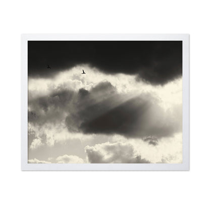 Birds Above Dark Clouds