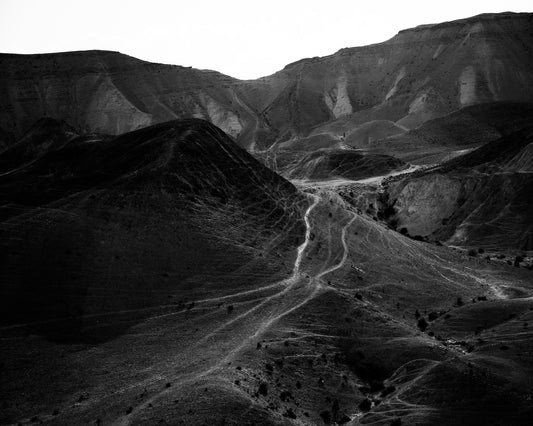 Desert Path Lines