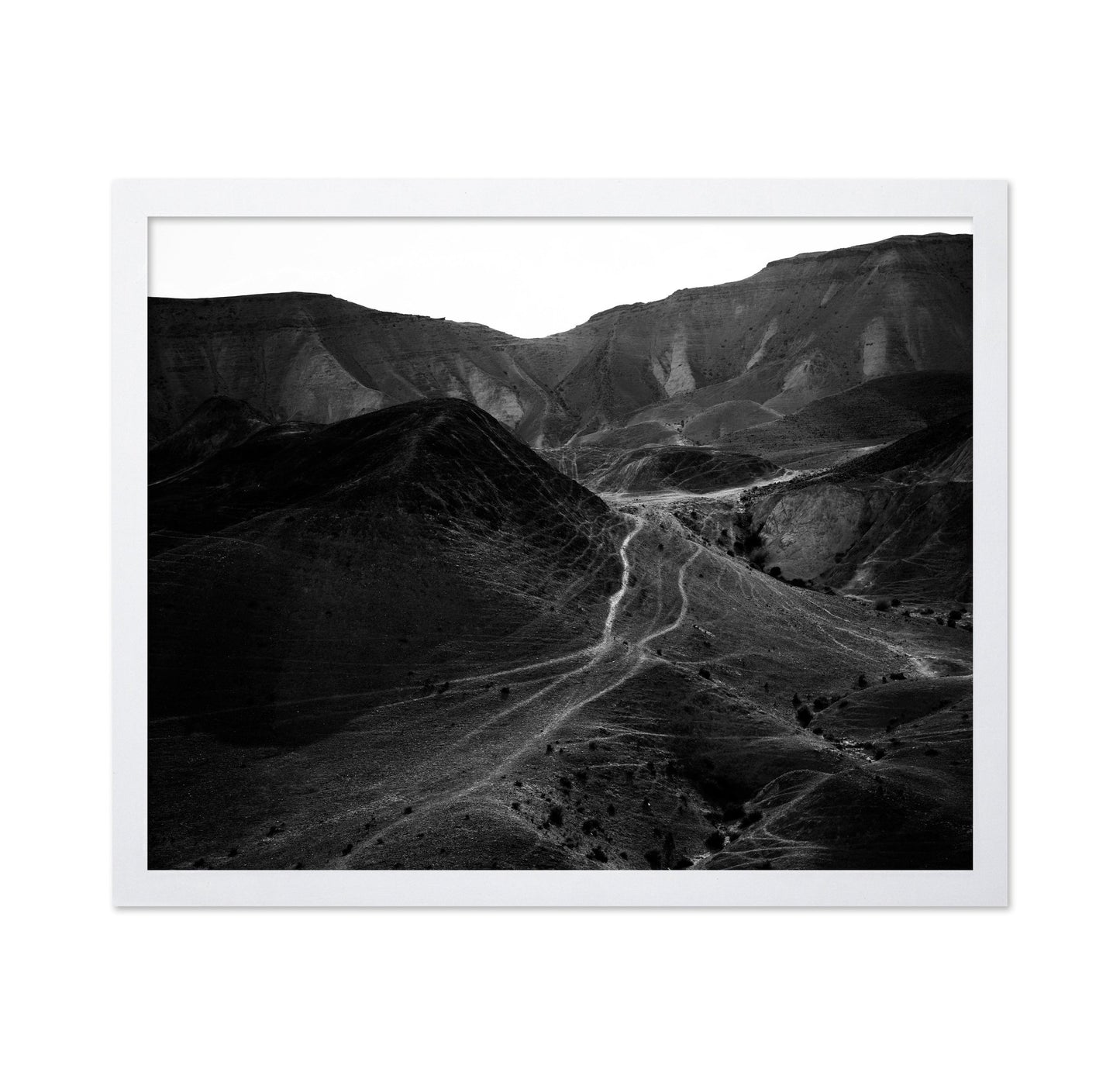 Desert Path Lines