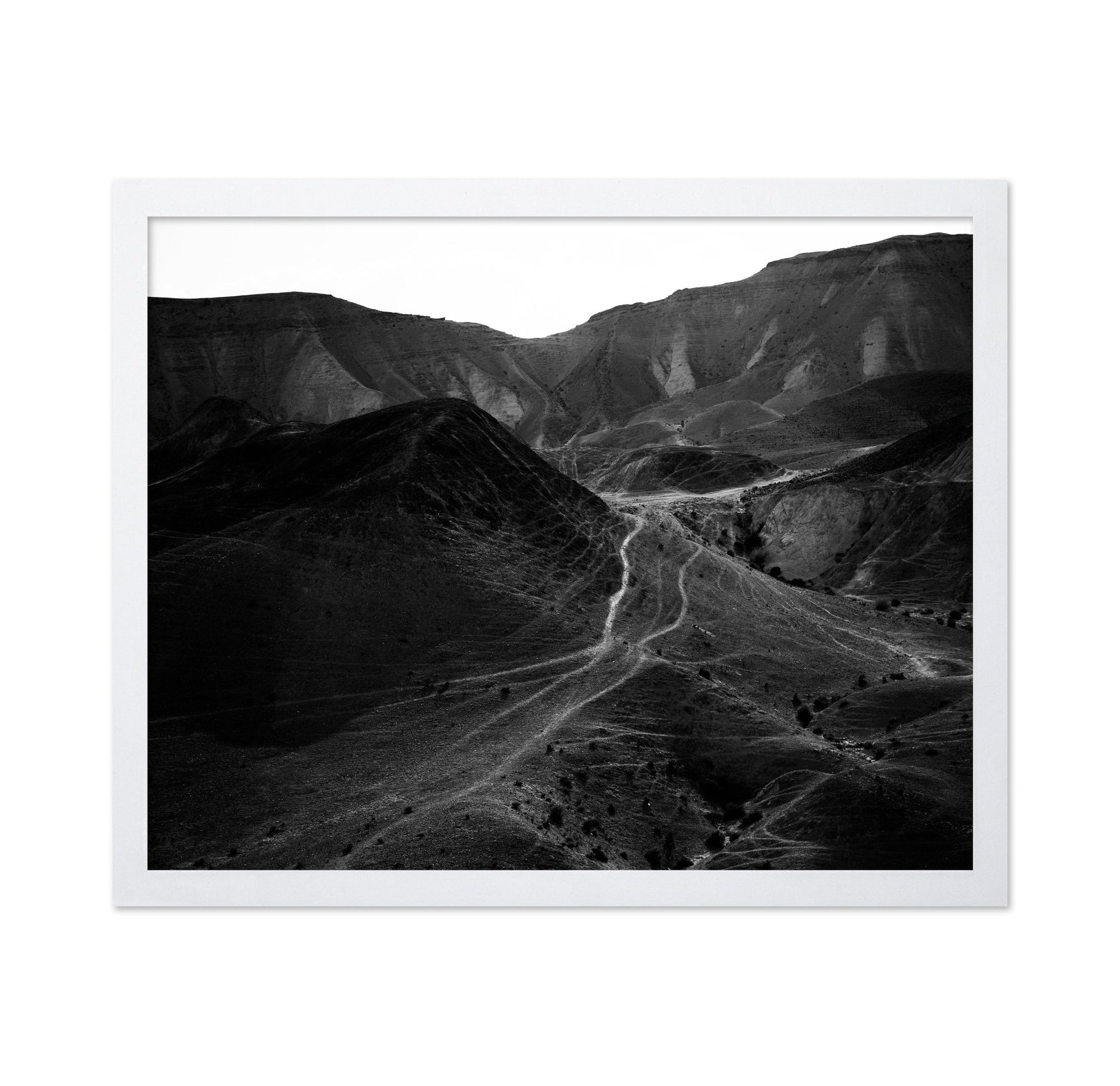 Desert Path Lines