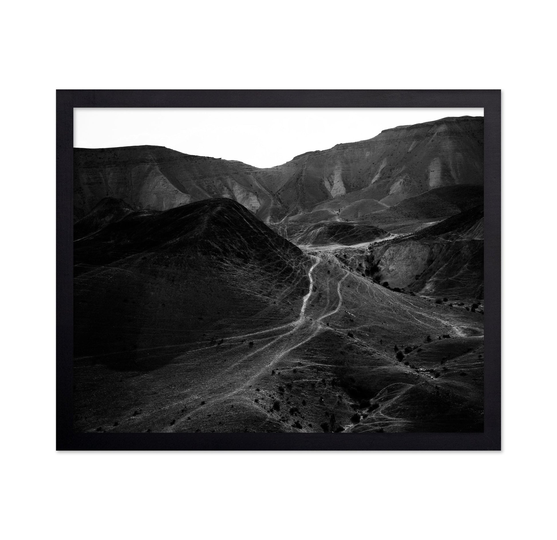 Desert Path Lines