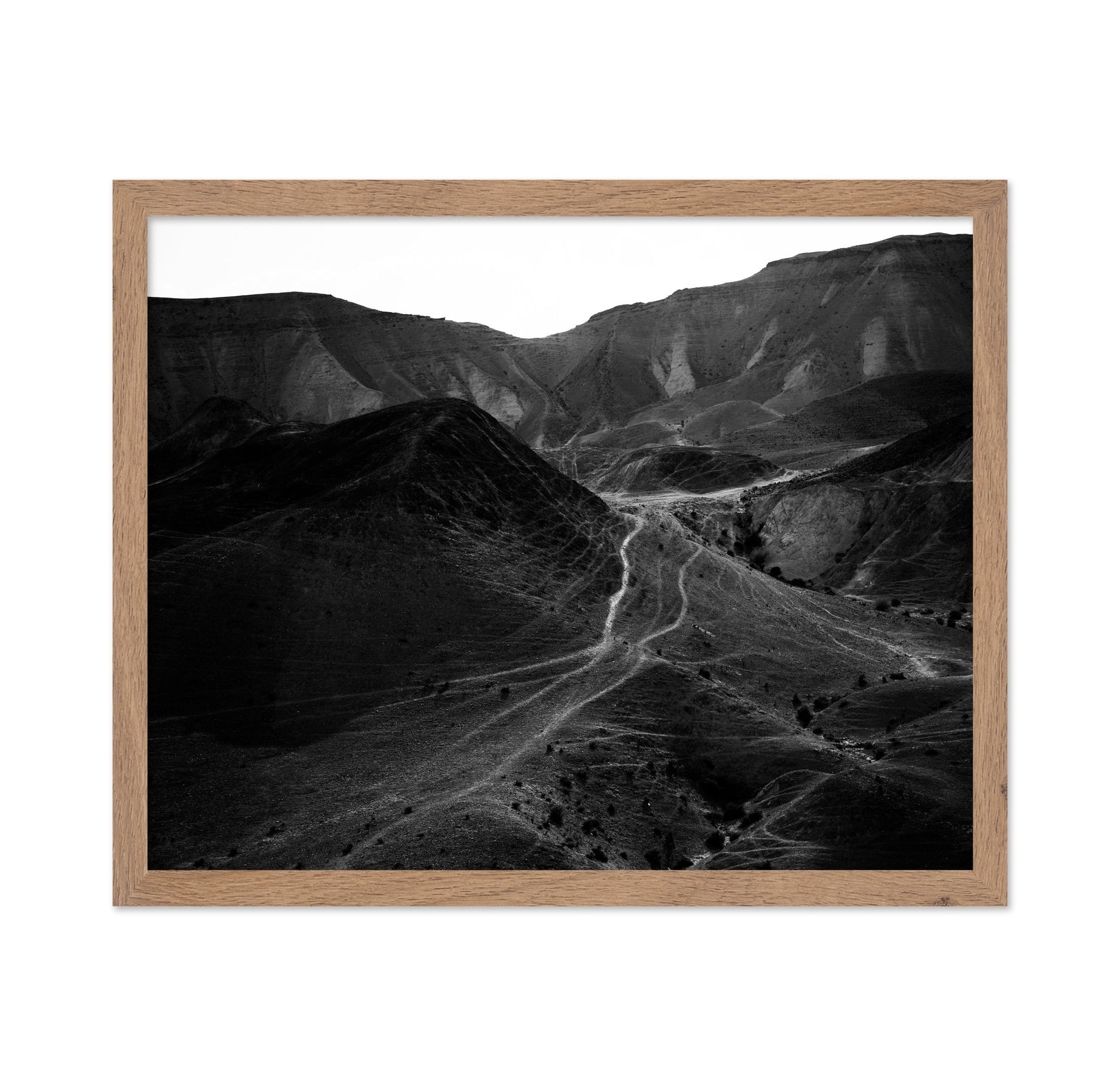 Desert Path Lines