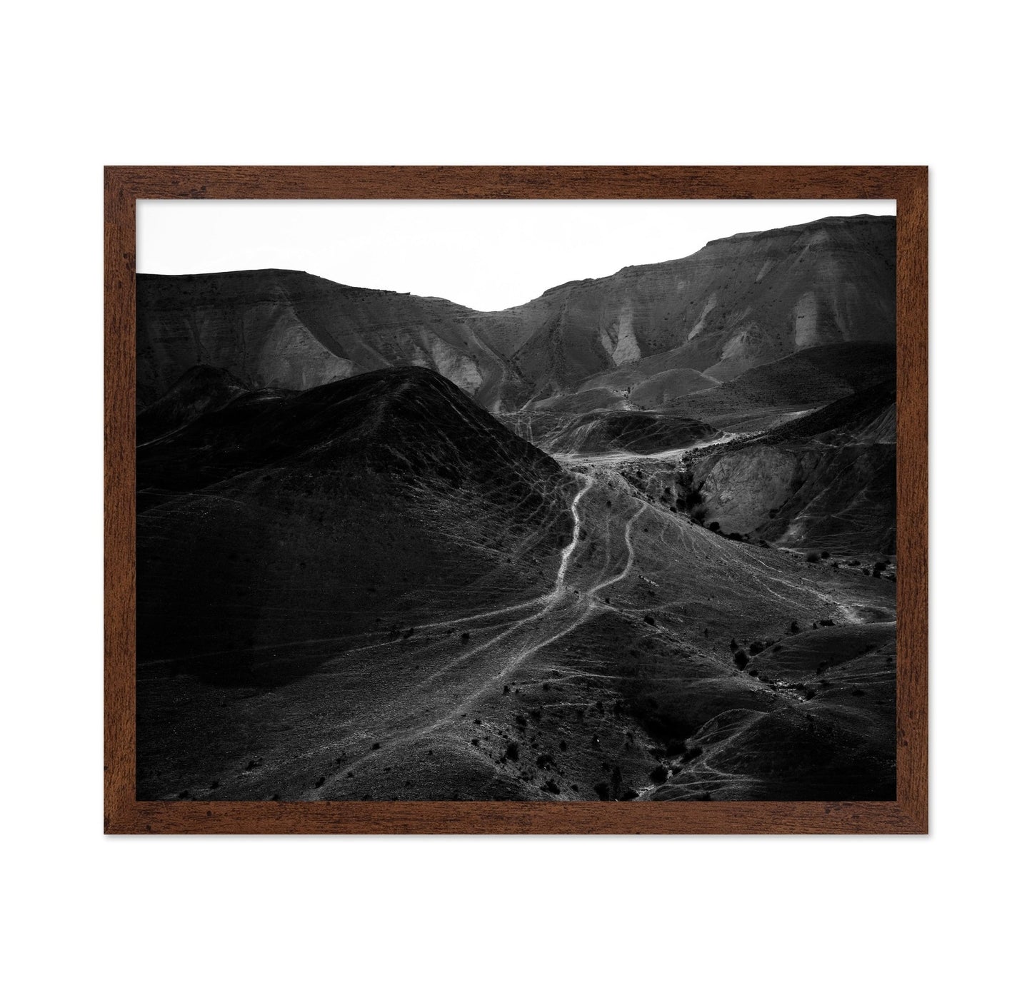 Desert Path Lines