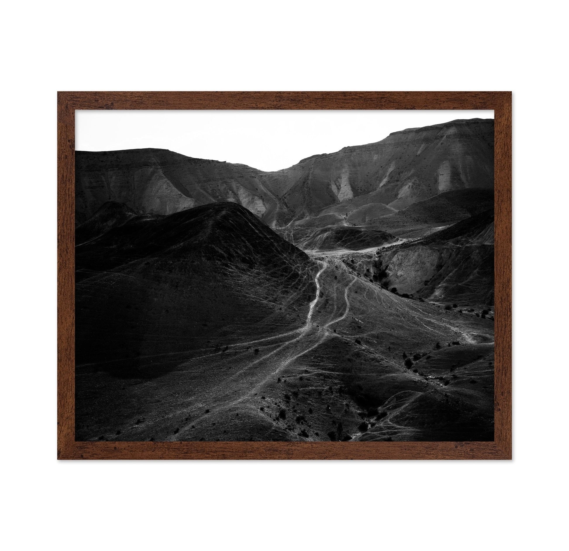 Desert Path Lines