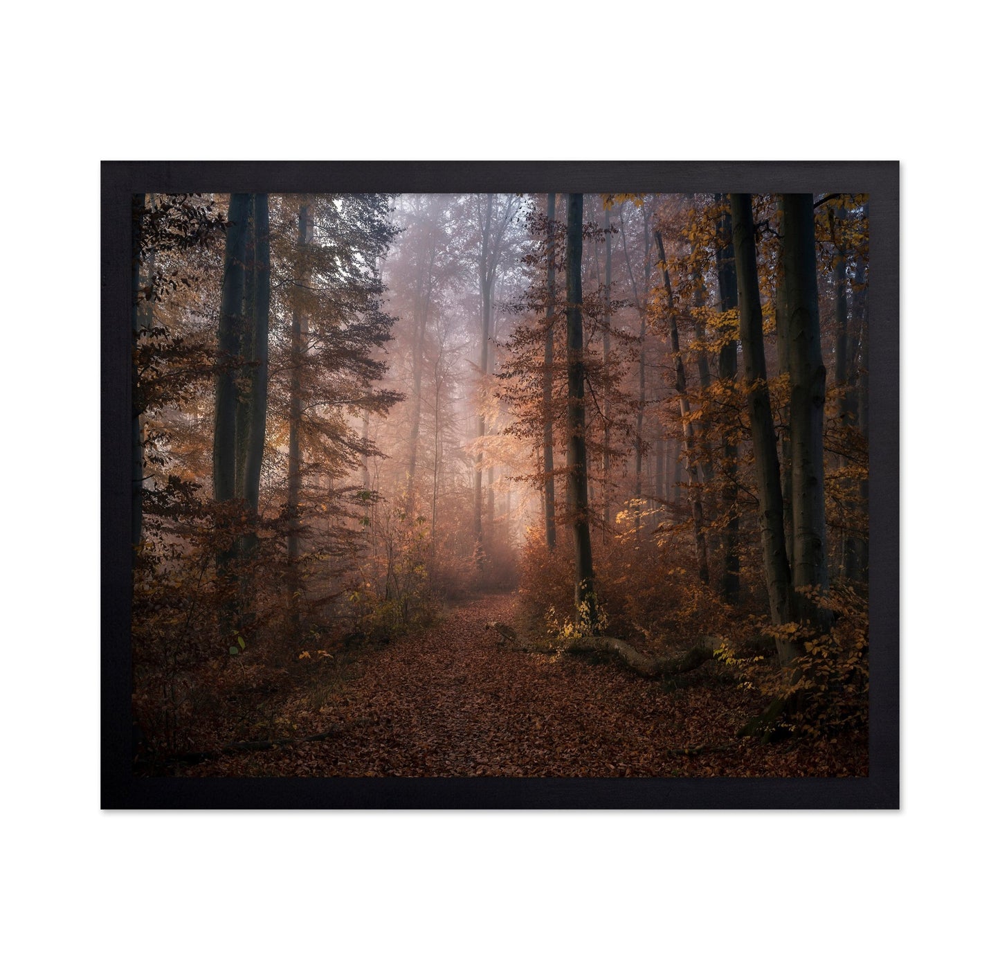 Autumn Forest Path No2