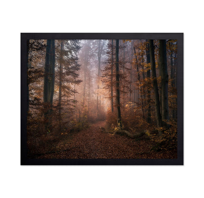 Autumn Forest Path No2