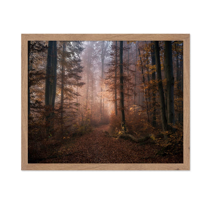 Autumn Forest Path No2