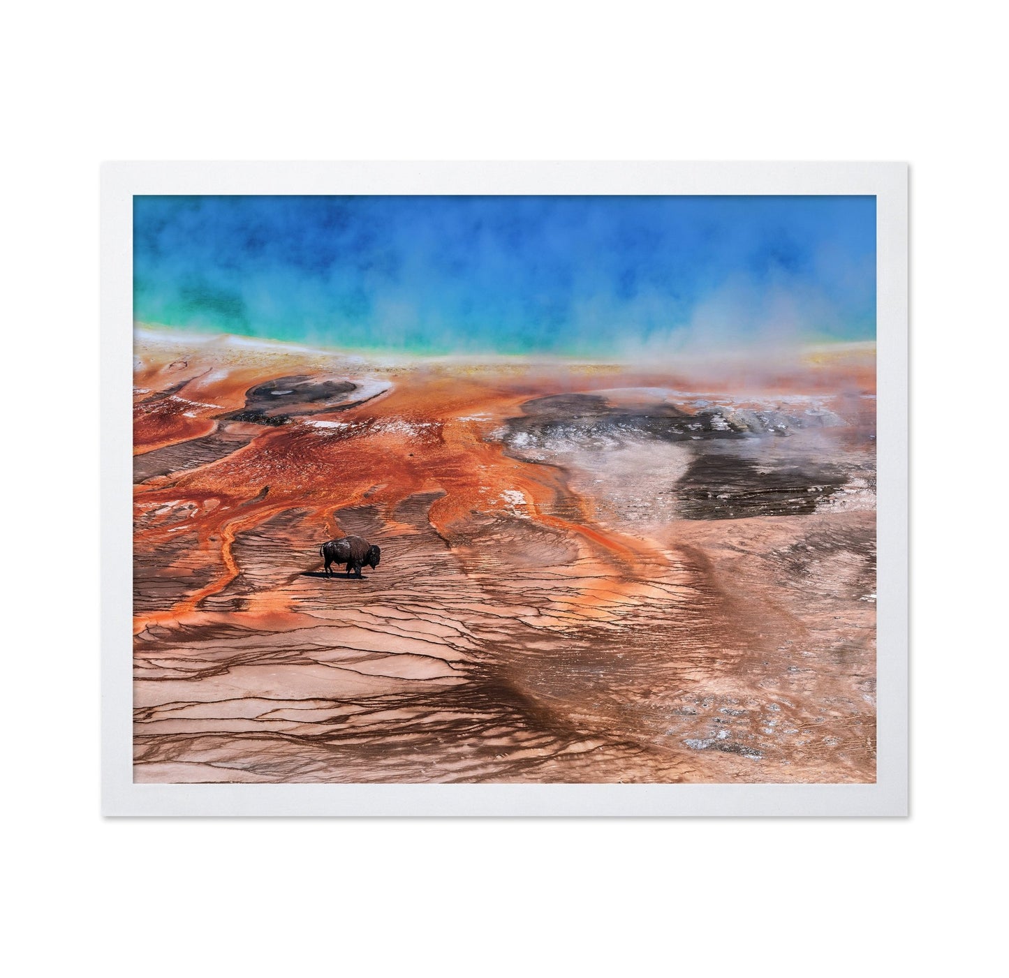 Thermal Bison Plains