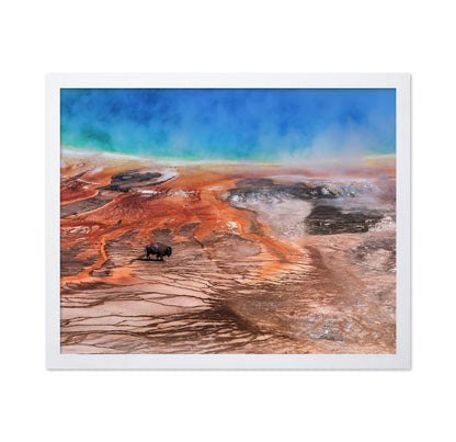 Thermal Bison Plains